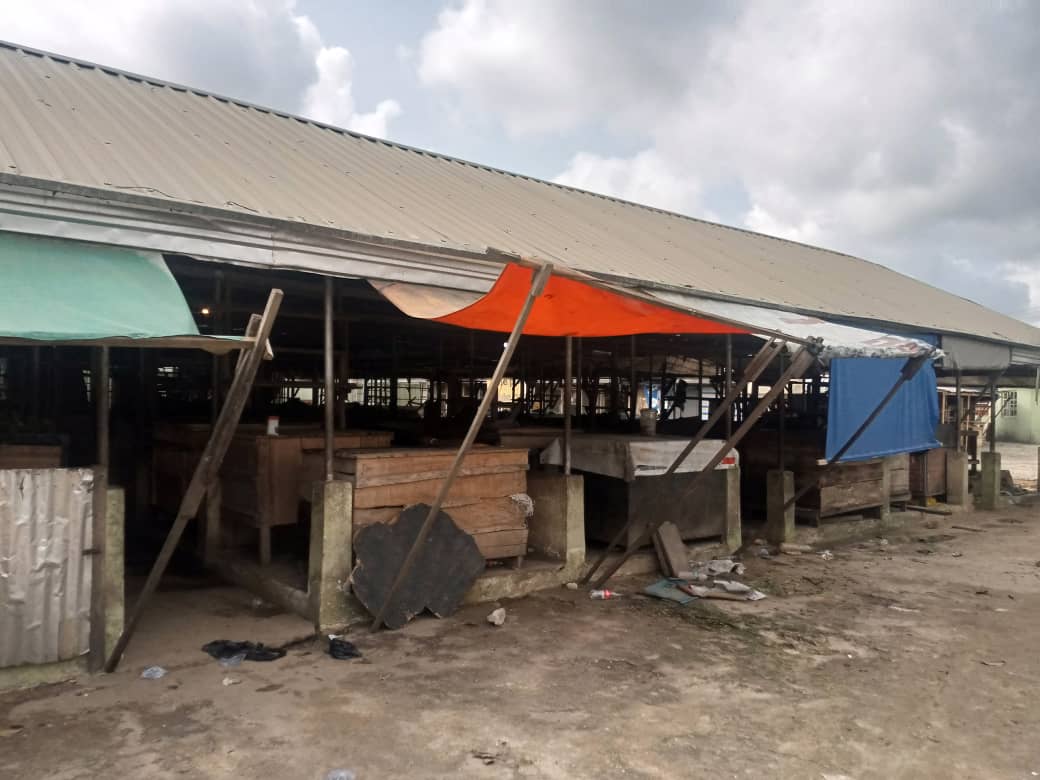 This Image May Contain A Market Place
